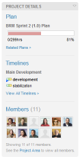 Project details area of project and team dashboards
