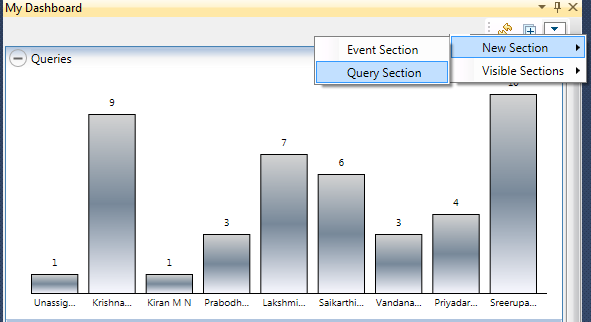 User Defined Query Sections