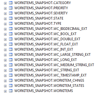 WORKITEM_SNAPSHOT TABLES