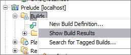 Accessing the Builds view