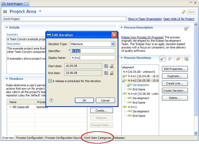 Work Item Categories in Project Area Editor