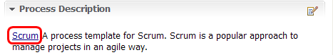 Link to extended process description from project area editor