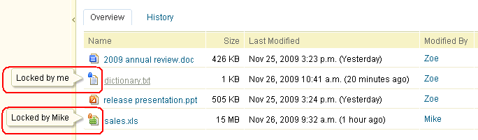 Zoe can see the files locked by herself and Mike in the current folder