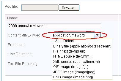 Set the content type manually in the resource editor