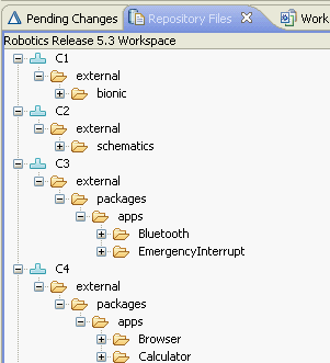 Repository          workspace structure