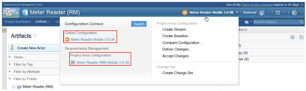 Image shows the correct global configuration context in RM