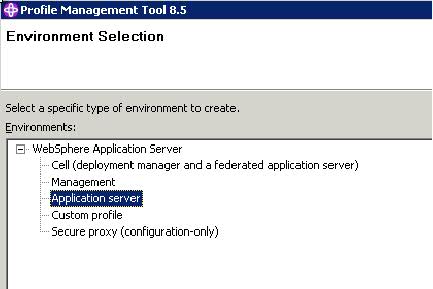 choose application server